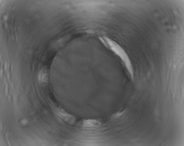 X0000077980137200611251355