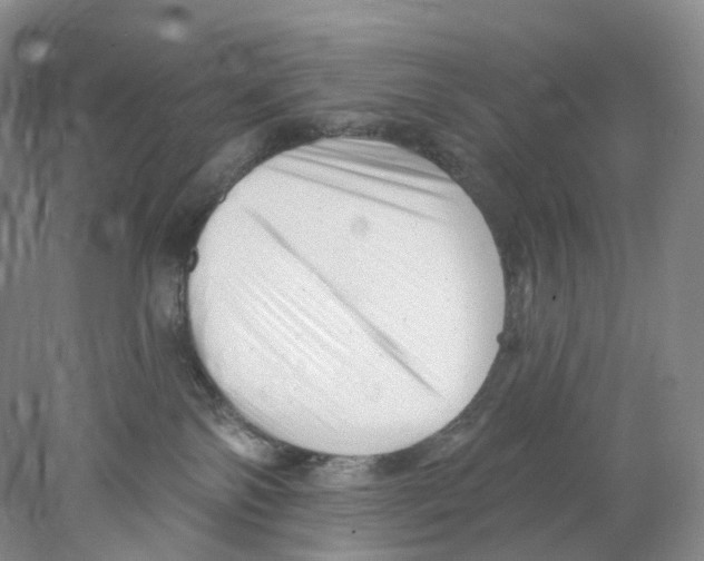 X0000077980138200611251355