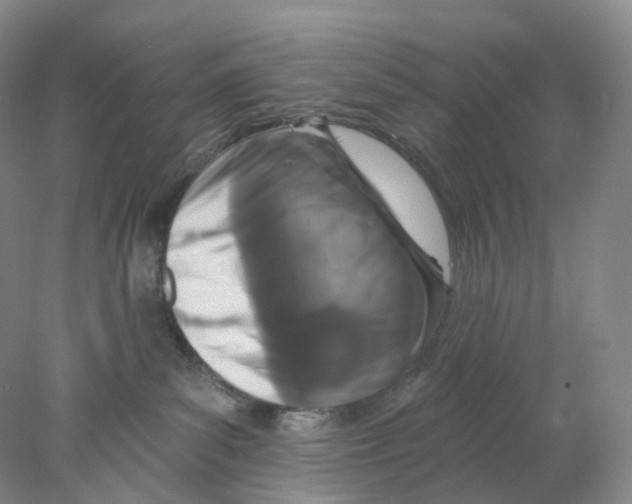 X0000077980139200611251355