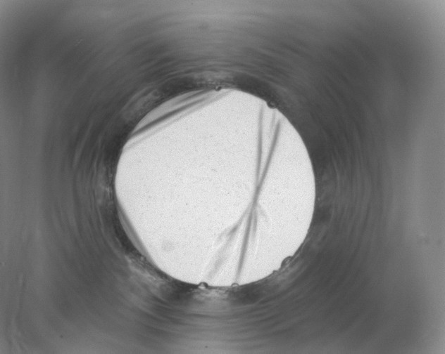 X0000077980140200611251355