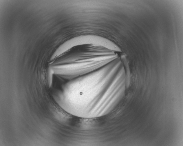 X0000077980141200611251355