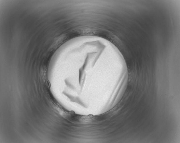 X0000077980142200611251355