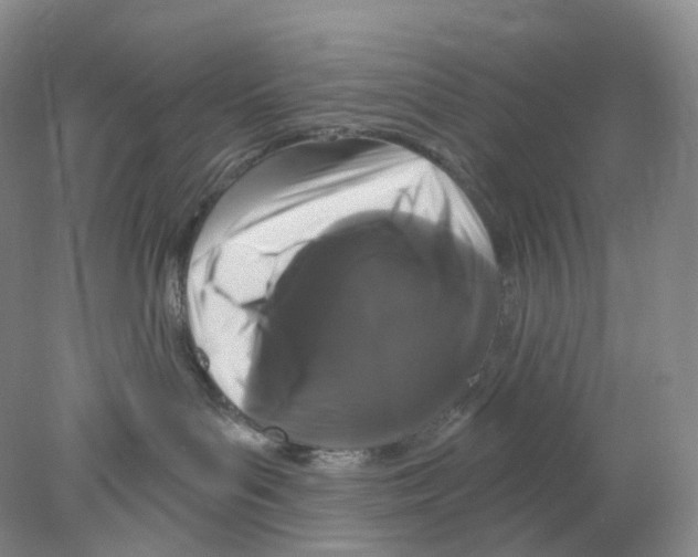 X0000077980143200611251355