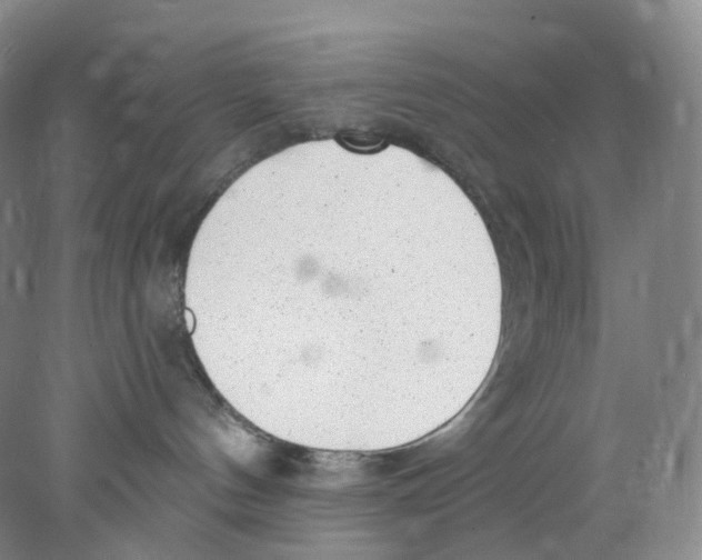 X0000077980144200611251355