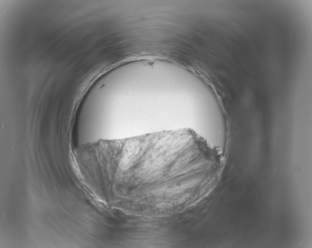 X0000077980145200611251354