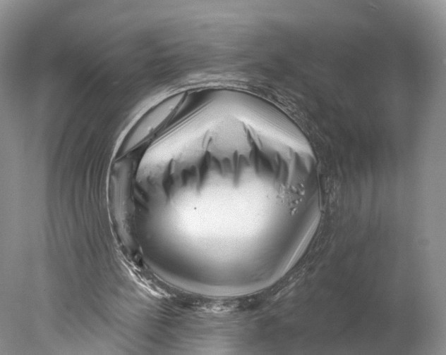 X0000077980148200611251354