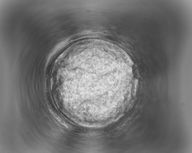 X0000077980149200611251354