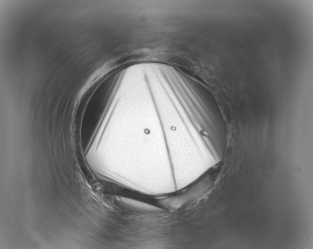 X0000077980150200611251354