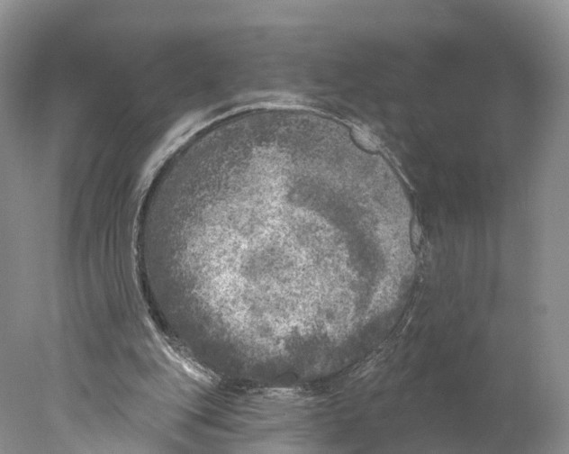 X0000077980151200611251354