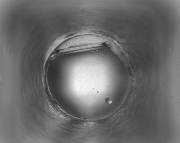 X0000077980152200611251354