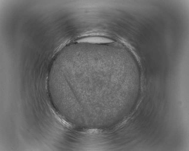 X0000077980153200611251354