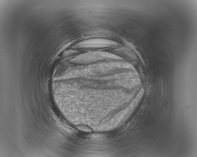 X0000077980154200611251354