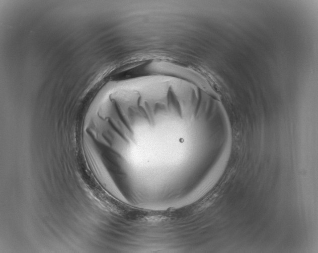 X0000077980158200611251354