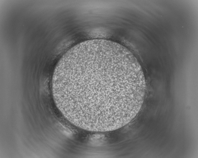 X0000077980162200611251354