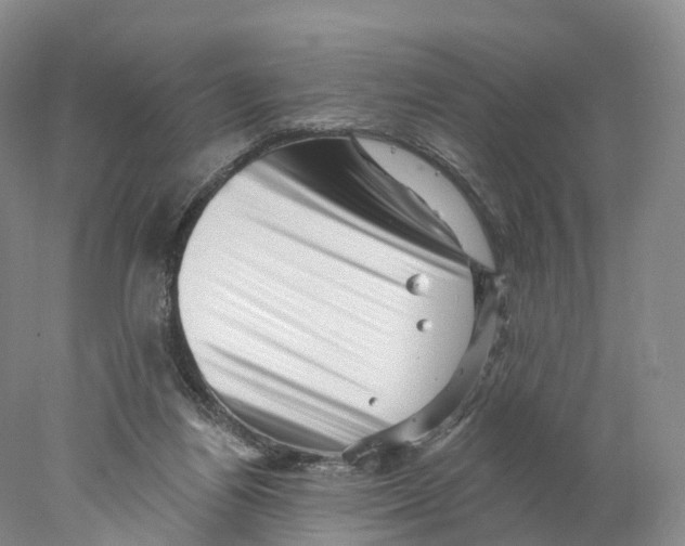 X0000077980164200611251354