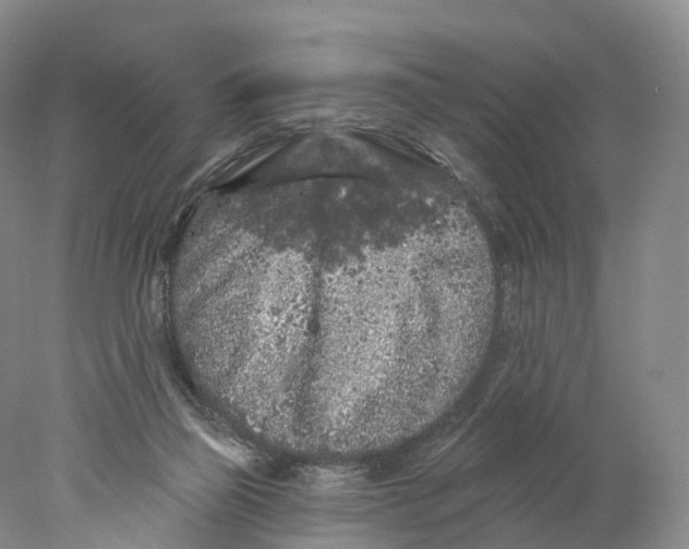 X0000077980165200611251354