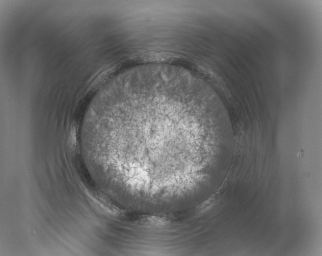 X0000077980166200611251354