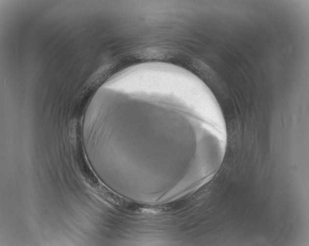 X0000077980167200611251354