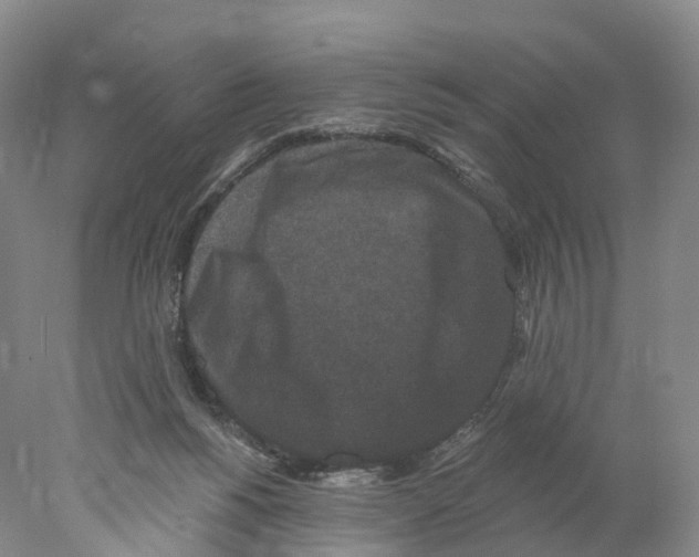 X0000077980168200611251354