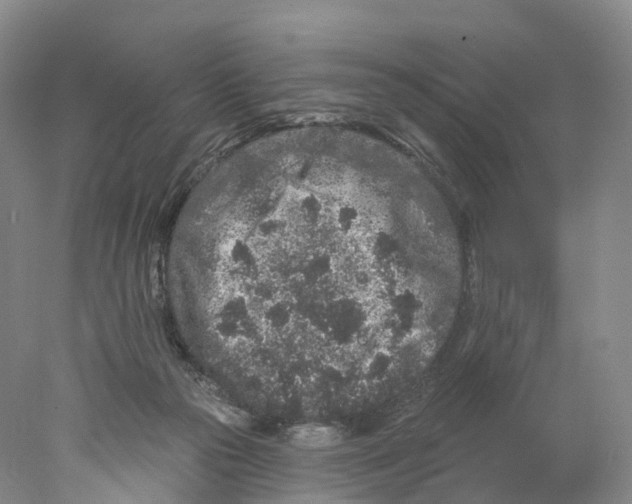 X0000077980169200611251355