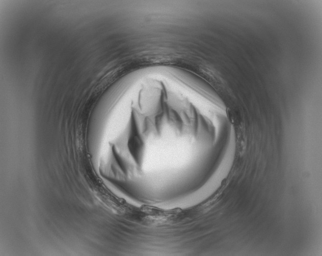 X0000077980170200611251355