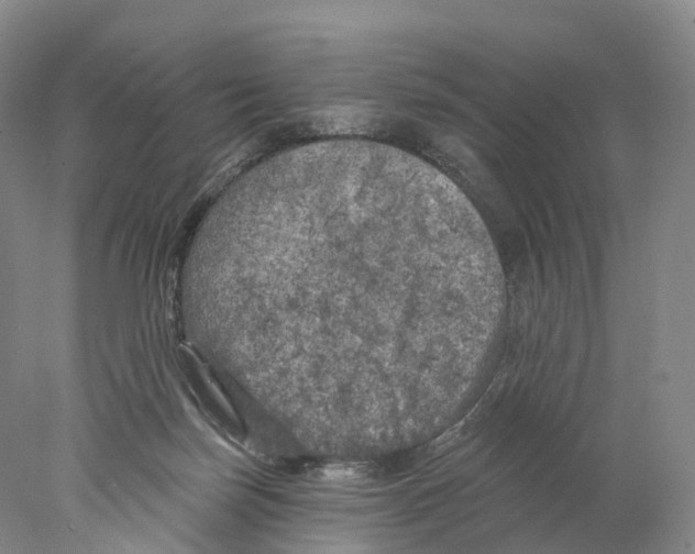 X0000077980171200611251355