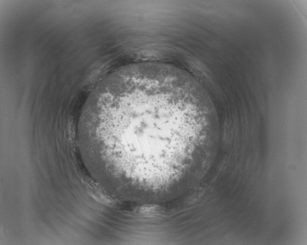 X0000077980173200611251355