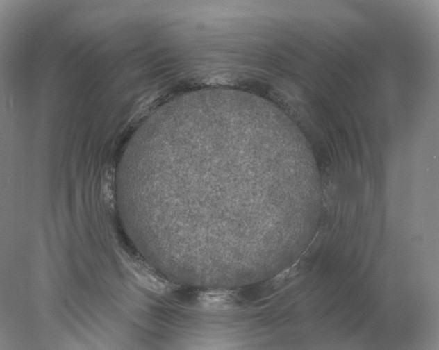 X0000077980175200611251355