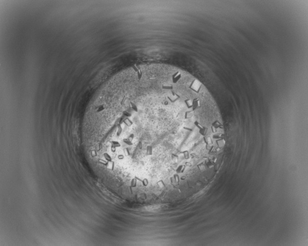 X0000077980178200611251355