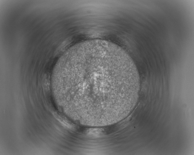 X0000077980179200611251355