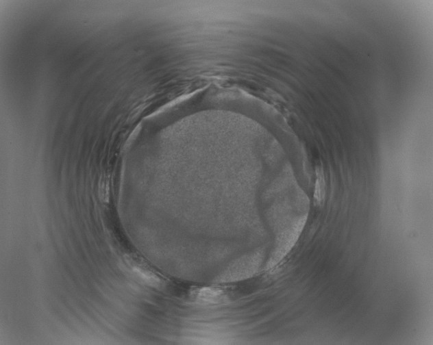 X0000077980180200611251355