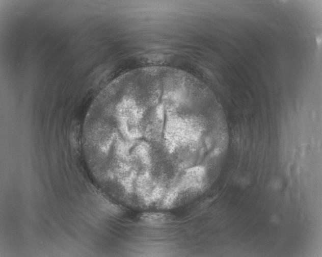 X0000077980181200611251355