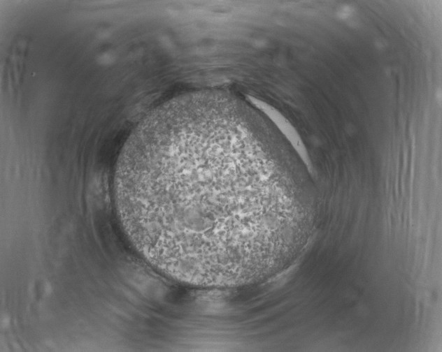 X0000077980182200611251355