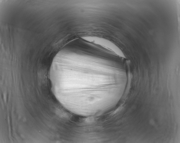 X0000077980184200611251355