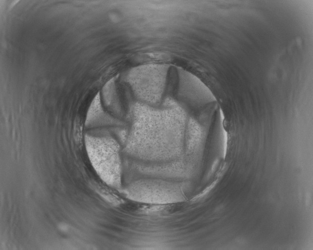 X0000077980186200611251355