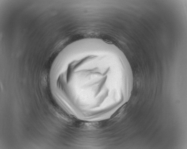 X0000077980188200611251355