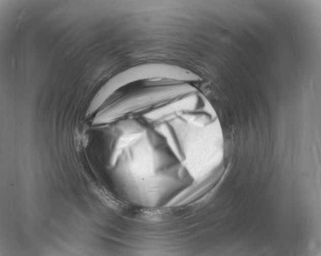 X0000077980190200611251355