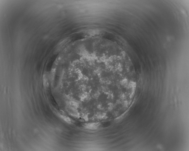 X0000077980191200611251355