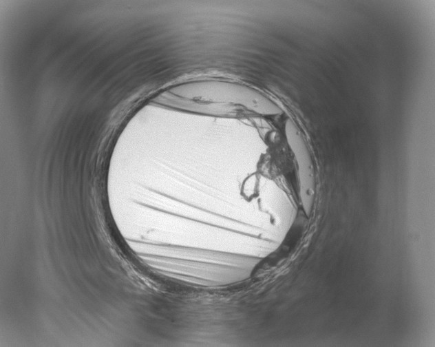 X0000077980193200611251354