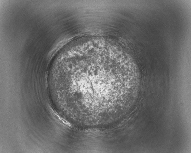 X0000077980194200611251354