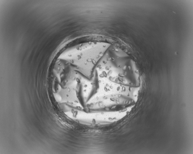 X0000077980195200611251354