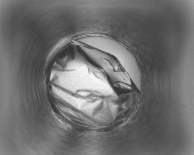 X0000077980197200611251354