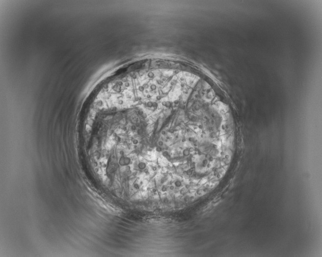 X0000077980199200611251354