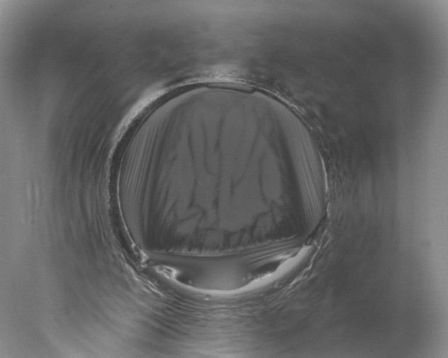 X0000077980200200611251354