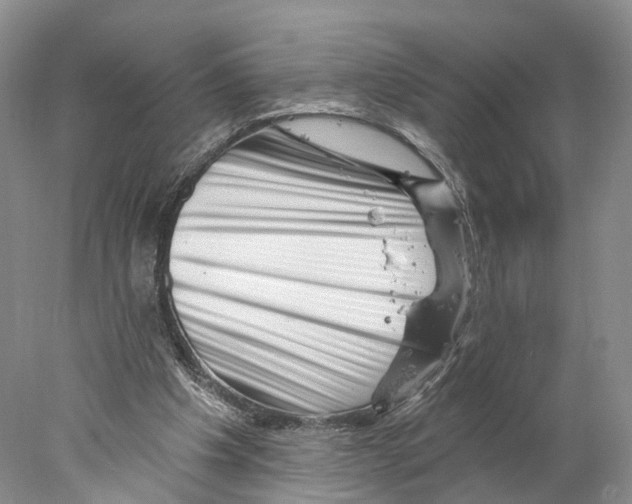 X0000077980201200611251354