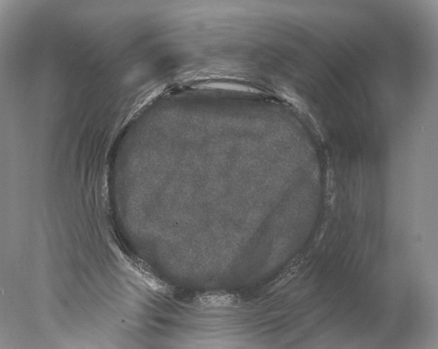 X0000077980202200611251354