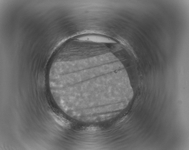 X0000077980204200611251354