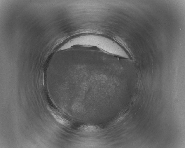 X0000077980205200611251354