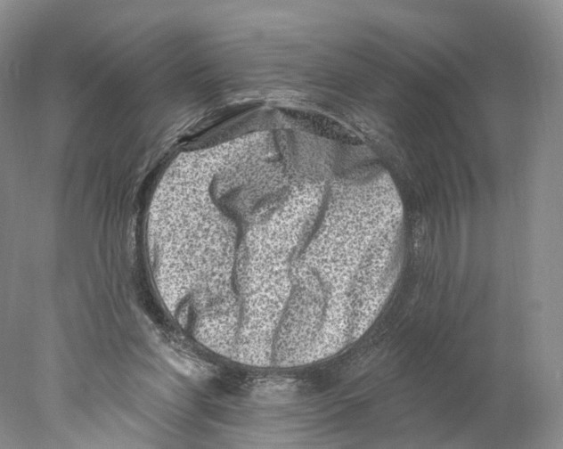 X0000077980206200611251354