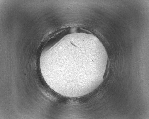 X0000077980207200611251354